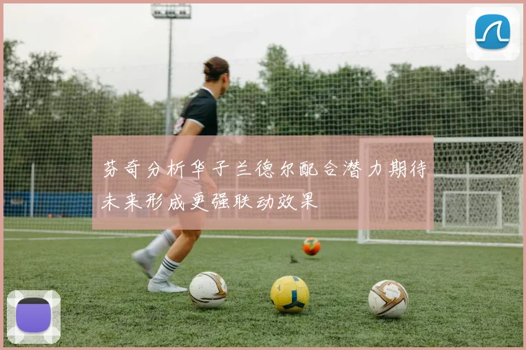 芬奇分析华子兰德尔配合潜力期待未来形成更强联动效果