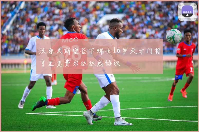 沃尔夫斯堡签下瑞士16岁天才门将亨里克费尔达达成协议