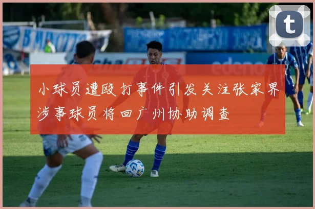 小球员遭殴打事件引发关注张家界涉事球员将回广州协助调查